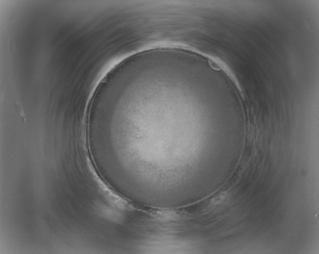 X0000078230911200611101006