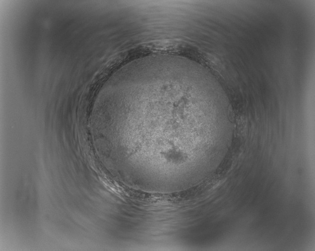 X0000078230913200611101005