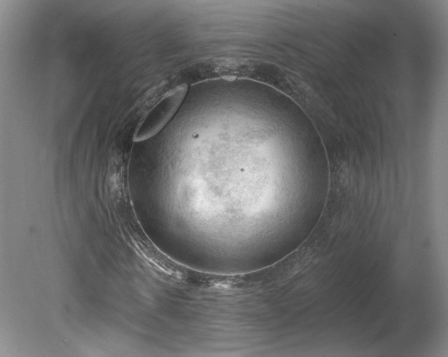 X0000078230914200611101005