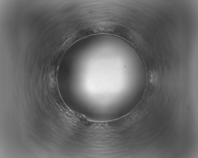 X0000078230915200611101005