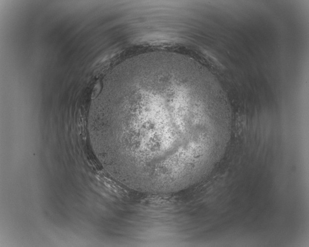 X0000078230917200611101005