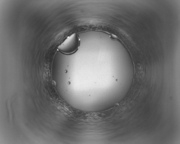 X0000078230918200611101005