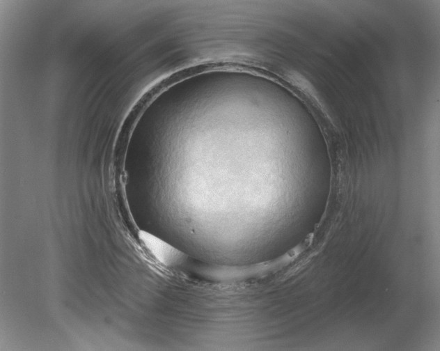 X0000078230924200611101005