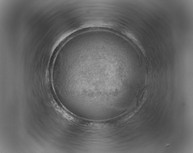 X0000078230928200611101006