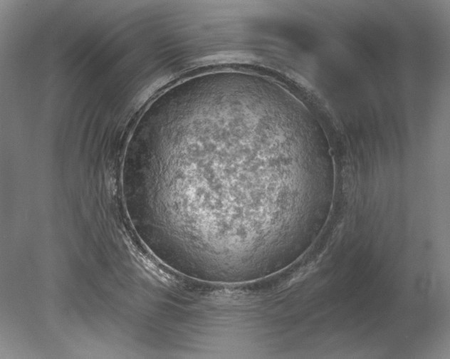 X0000078230929200611101006