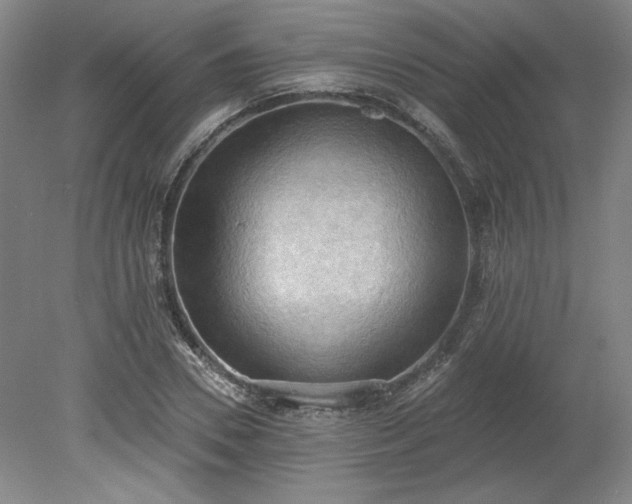 X0000078230930200611101006