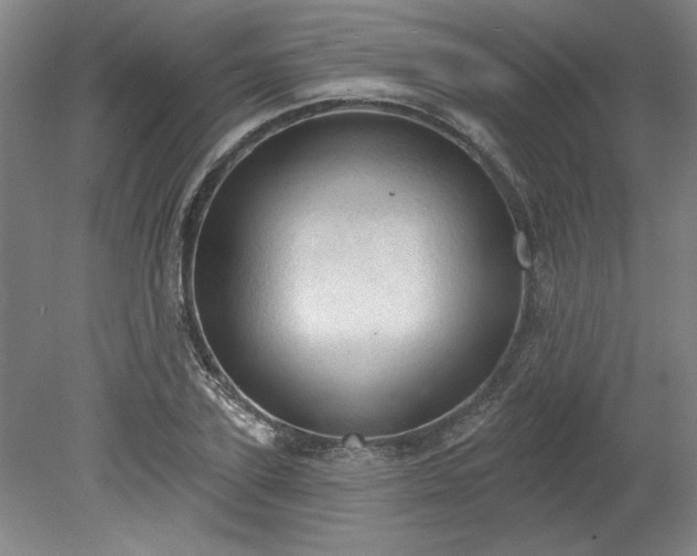 X0000078230931200611101006