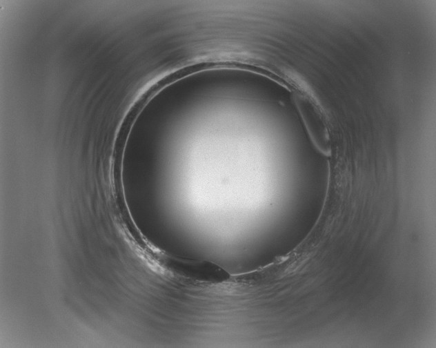 X0000078230932200611101006