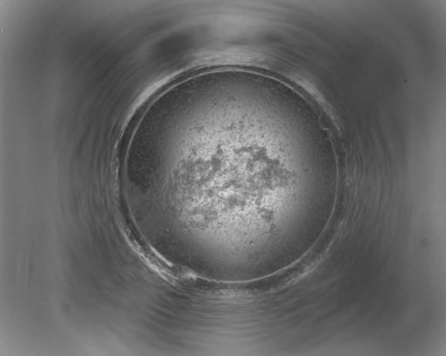 X0000078230933200611101006