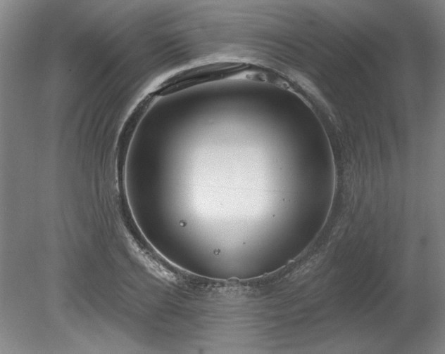 X0000078230934200611101006