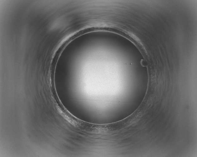 X0000078230935200611101006