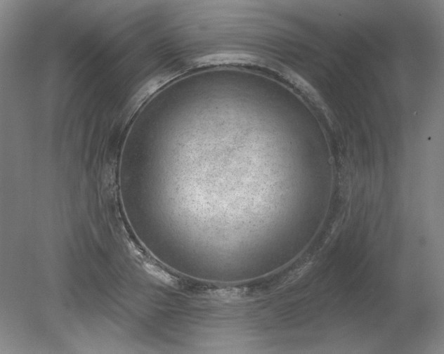 X0000078230937200611101006