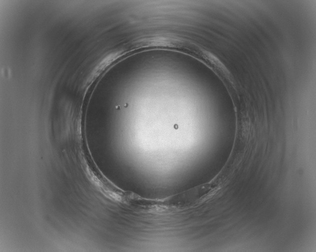 X0000078230938200611101006