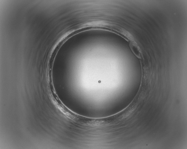 X0000078230939200611101006