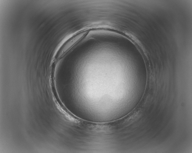 X0000078230941200611101006