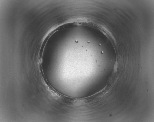 X0000078230944200611101006