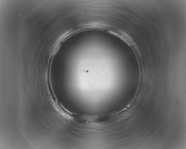 X0000078230946200611101006