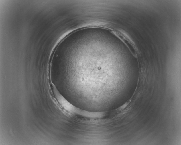 X0000078230948200611101006