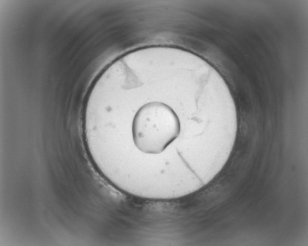 X0000078230950200611101006