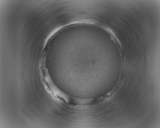 X0000078230952200611101006