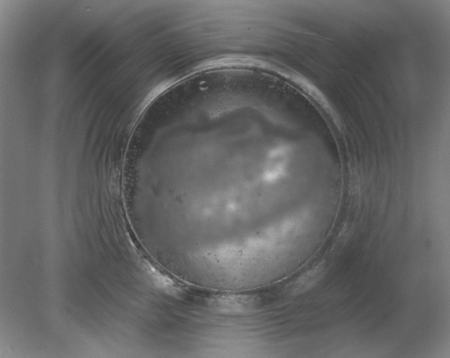 X0000078230953200611101006