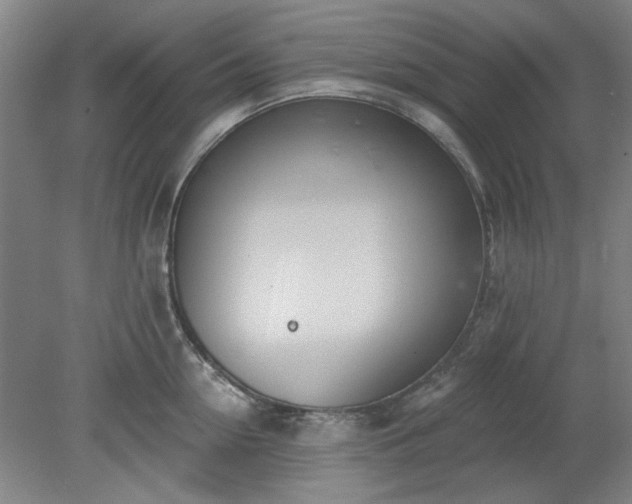 X0000078230954200611101006