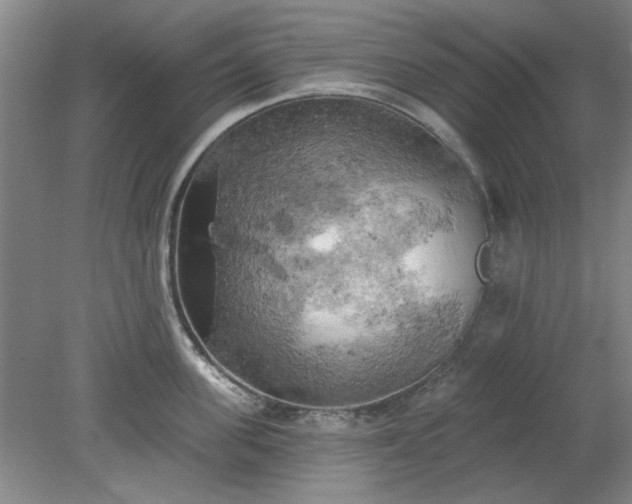 X0000078230955200611101006