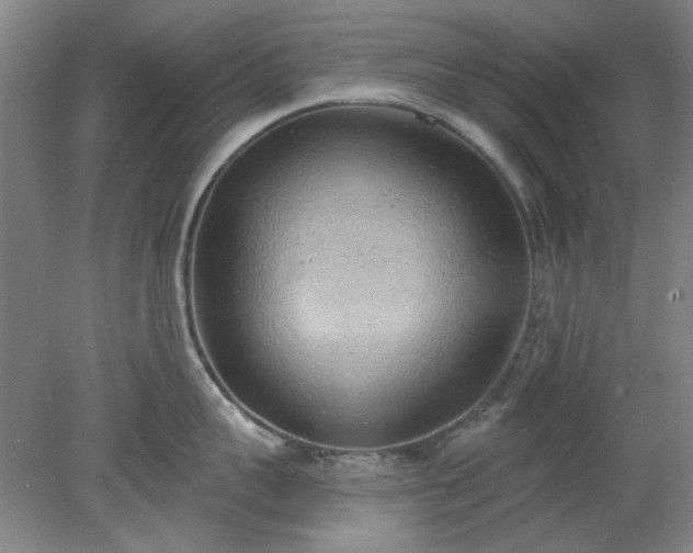 X0000078230959200611101006