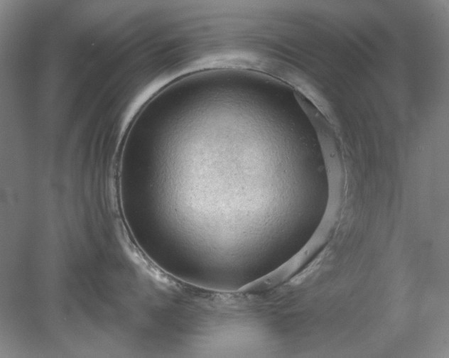 X0000078230960200611101006