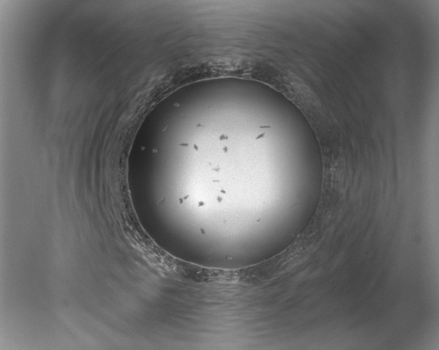 X0000078230961200611101005