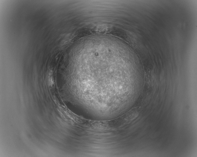 X0000078230962200611101005