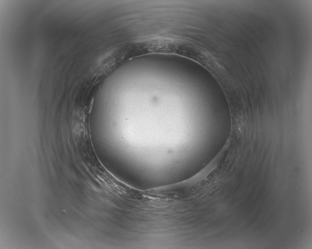 X0000078230964200611101005