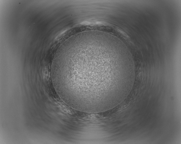 X0000078230966200611101005