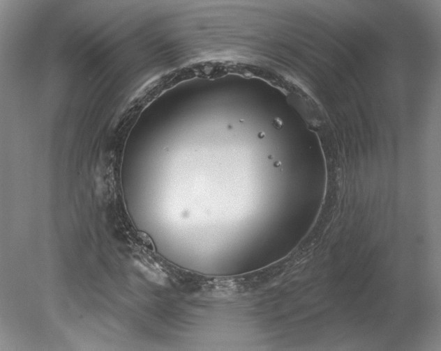 X0000078230968200611101005