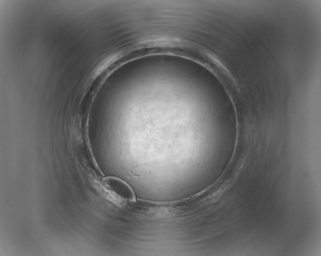 X0000078230970200611101005