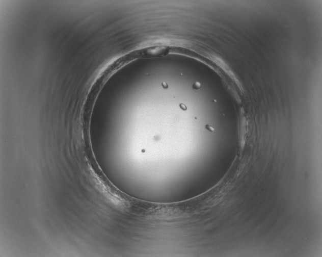 X0000078230972200611101005