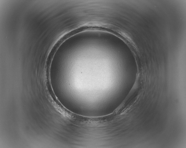 X0000078230976200611101005