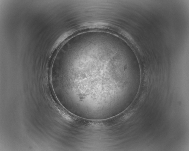 X0000078230978200611101005