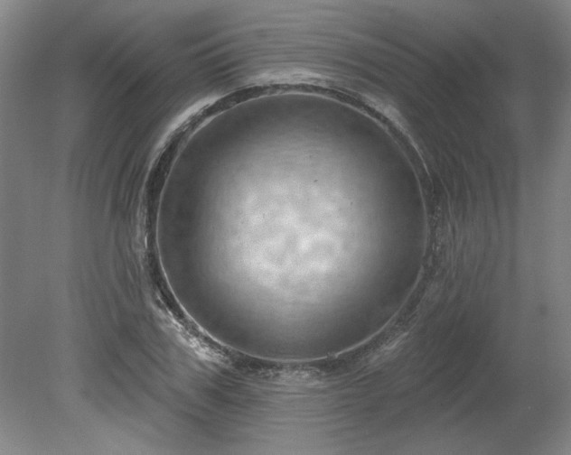 X0000078230979200611101005