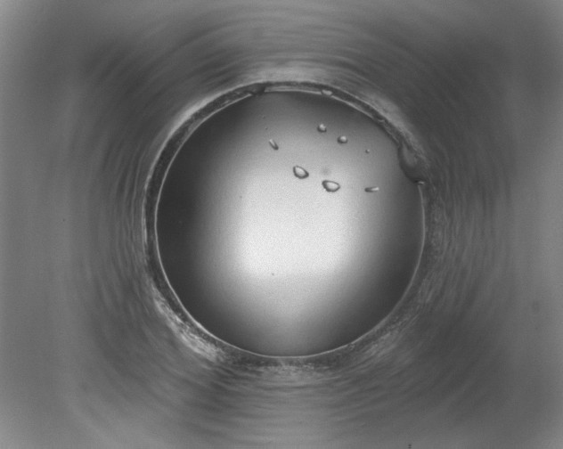 X0000078230980200611101005