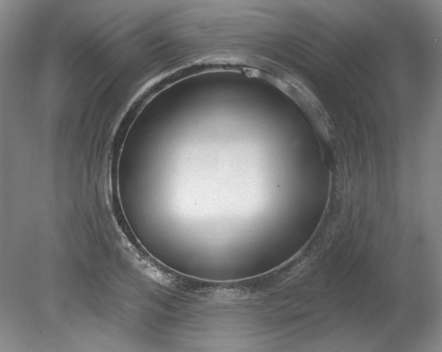 X0000078230984200611101005