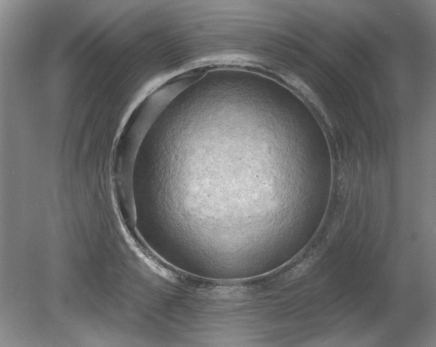 X0000078230989200611101005