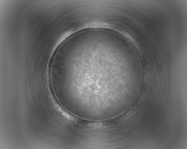 X0000078230990200611101005