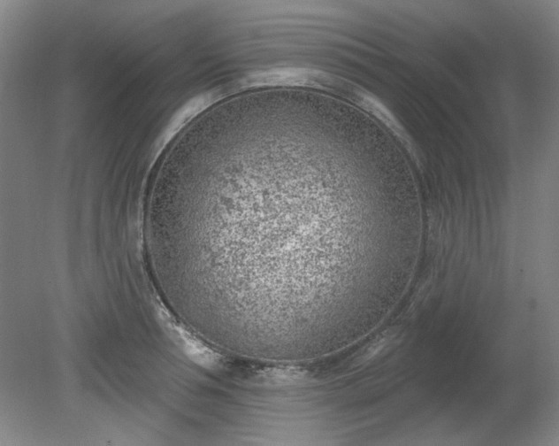 X0000078230994200611101005