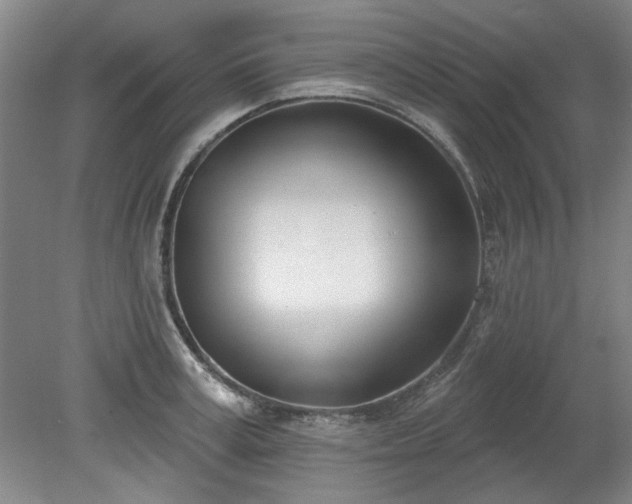 X0000078230995200611101005