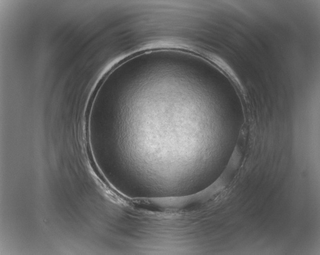 X0000078230996200611101005