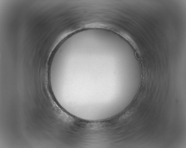 X0000078231000200611101005