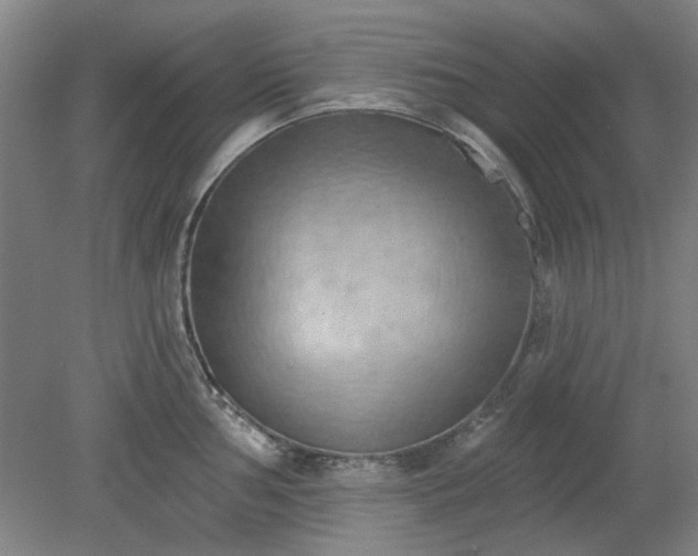 X0000078231002200611101005