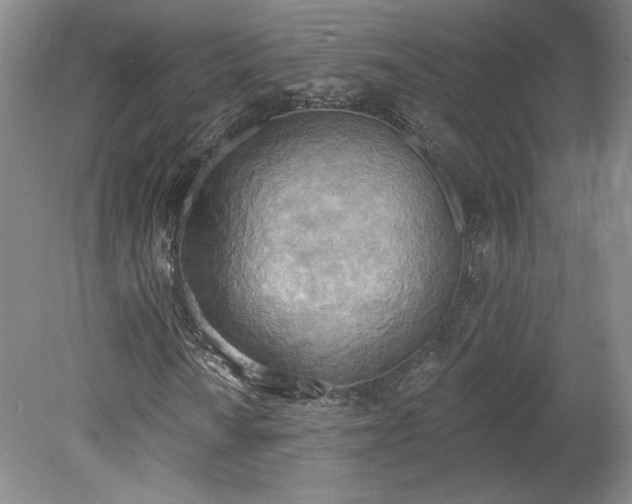 X0000078231010200611101004