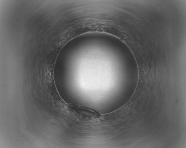 X0000078231013200611101004